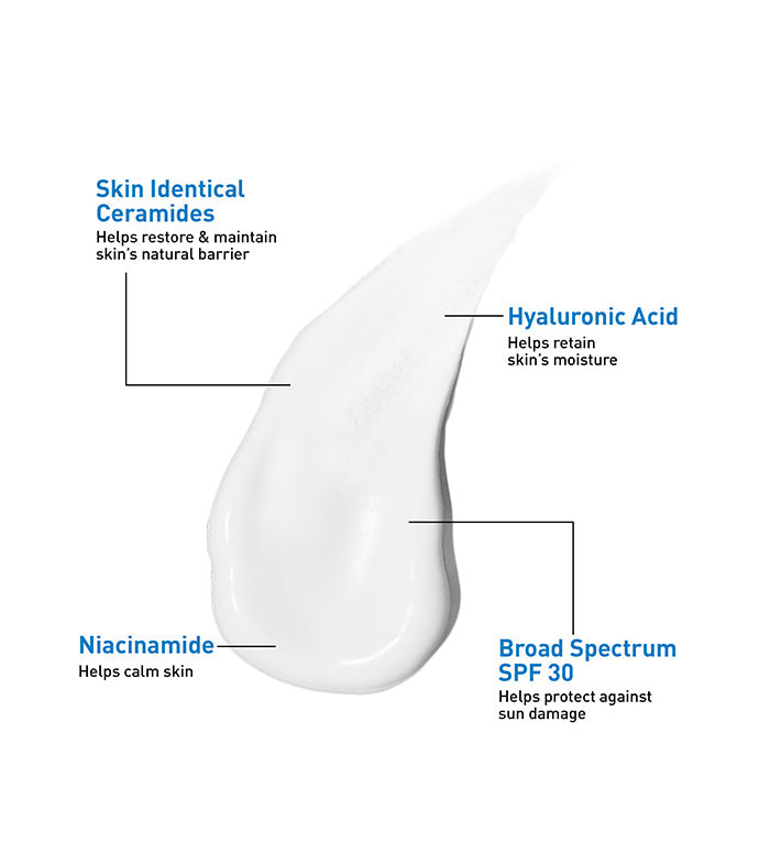 AM Facial Moisturizing Lotion SPF 30